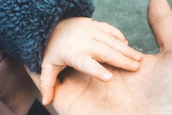 В полуфинал конкурса «Это у нас семейное» вышли 13 брянских семей