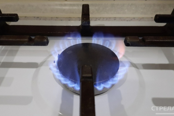 Брянская область газифицирована на 95%