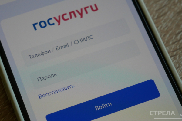 Приложение «Госуслуги.Дом» является верным помощником в бытовых вопросах брянцев