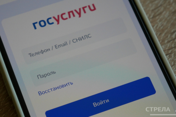 Брянцы активно используют приложение «Госуслуги.Дом»