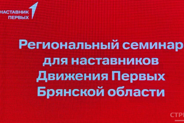 В Брянске открылся региональный семинар для наставников Движения Первых