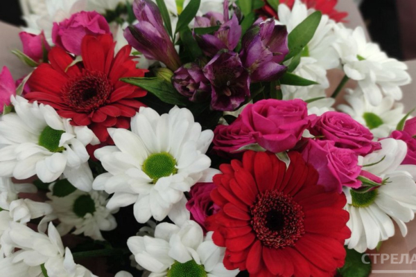 Губернатор Александр Богомаз поздравил двух землячек с высокими госнаградами