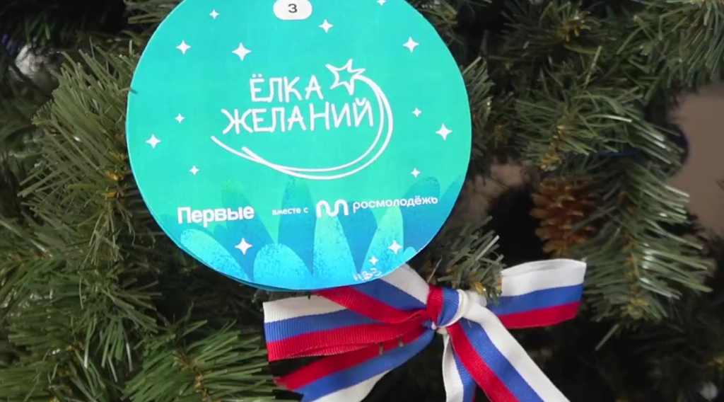 Сенатор РФ исполнил новогодние мечты брянских детей