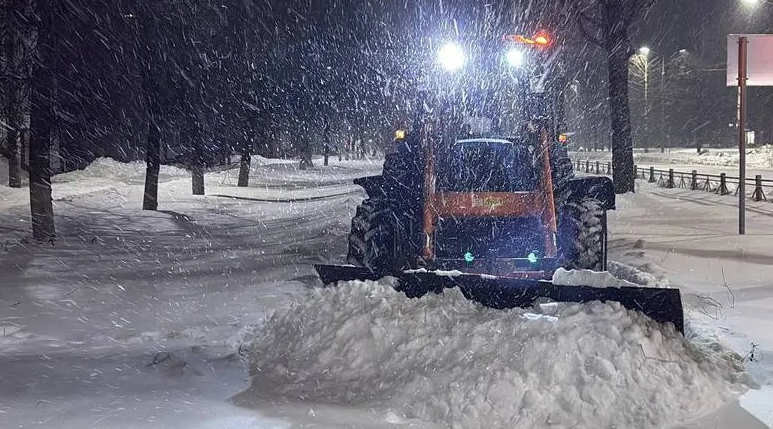 Весне вопреки: новый снегопад накрыл Выгоничский район