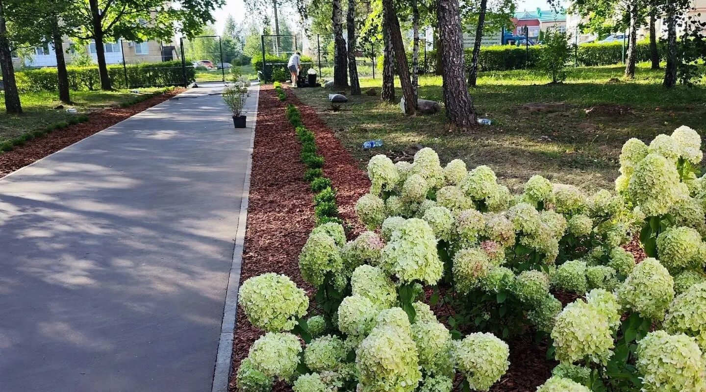 Красота спасает и лечит